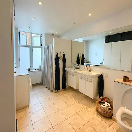 Historic Flat From The 1850s In Frederiksberg Lejlighed København